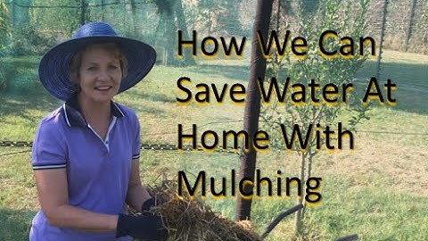 How We Can Save Water At Home Through Mulching