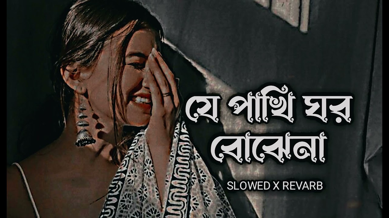 Je Pakhi Ghor Bojhena       Slowed  Revarb  Dhruba  Bangla Lofi Song 2023  lofi