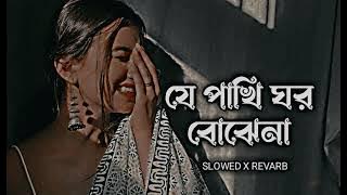 Je Pakhi Ghor Bojhena || যে পাখি ঘর বঝেনা [ Slowed   Revarb ] Dhruba || Bangla Lofi Song 2023 #lofi