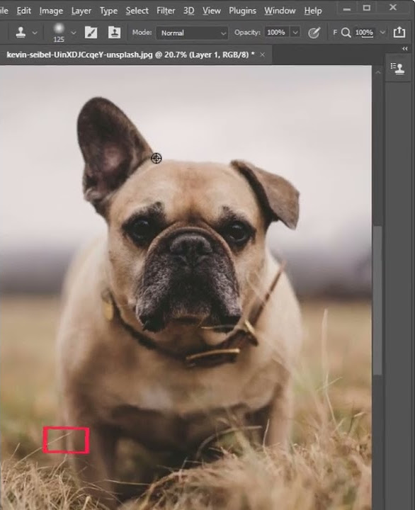 cara-clone-source-di-photoshop-how-to-clone-in-photoshop-youtube