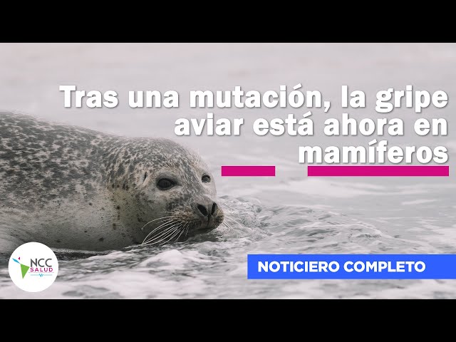 Tras una mutación, la gripe aviar está ahora en mamíferos | 262 | 11 al 17 de agosto 2025