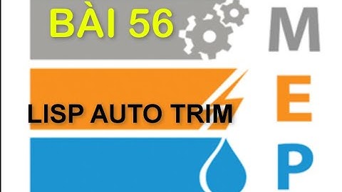 Lisp auto trim