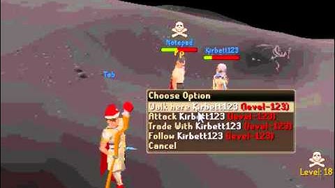 Oraclescape RSPS #1 Zerker. Notepad 2