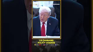 US Moves to Reclassify Marijuana in Major Policy Shift | WION SHORTS