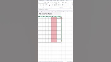 How to Make an Attendance Sheet in Excel | Useful And Helpful Tips And Tricks #excel