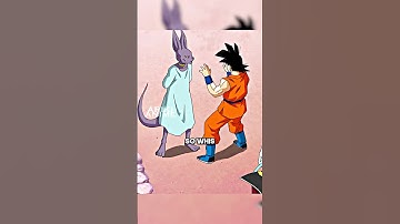 Beerus Catches Whis Lying😂