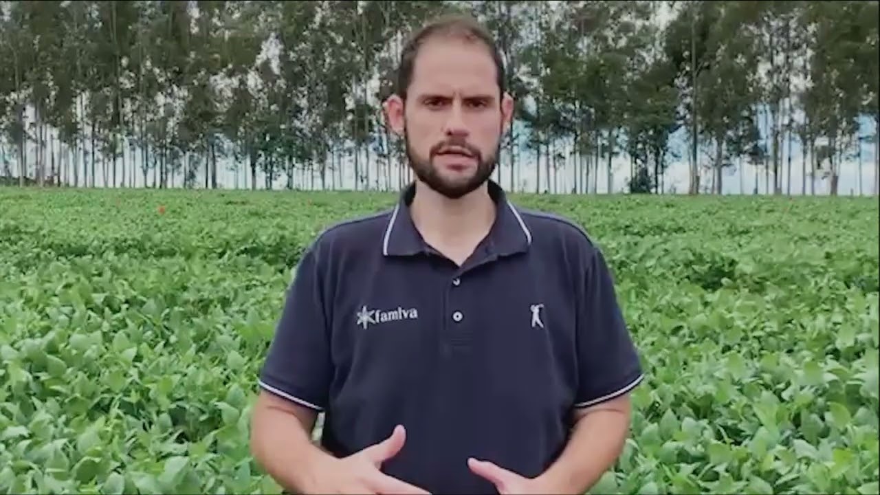 Websérie Alade® e Mitrion® - Vozes do Campo | Fernando Grigoli