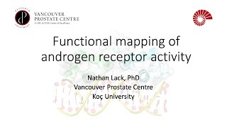 Functional mapping of androgen receptor activity