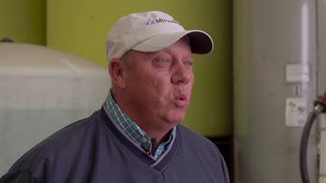 Talinor cereals herbicide in Kenmare, North Dakota