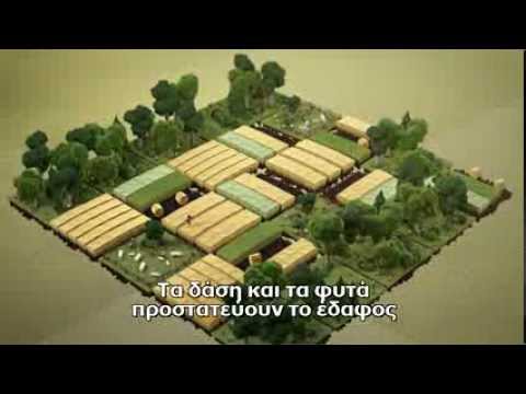Βίντεο: Υποβάθμιση εδάφους