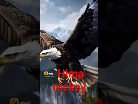 Kali Yugam .Hima rockey.