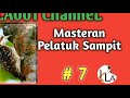 Masteran Pelatuk Sampit Dengan Gemericik Air Kla Channel Mp3 - Mp4 Download