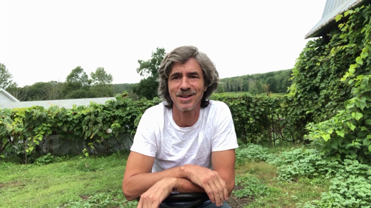 peter caine dog trainer youtube Two Good Dog Owners, 4 not so good dog trainers