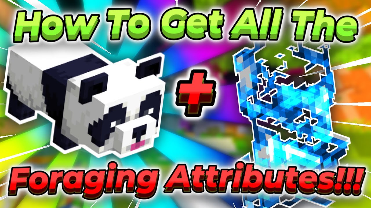 The Best Way To Get EVERY Foraging Attribute!! | Hypixel SkyBlock
