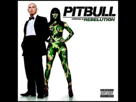 03 I Know You Want Me -Pitbull
