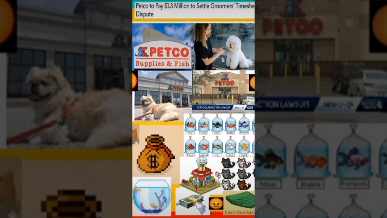 PetCo Pays 1 3 Million To Former Pet Groomers To Settle Wage Theft petco-pays-1-3-million-to-former-pet-groomers-to-settle-wage-theft