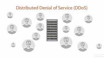 Web Application Penetration Testing |  DDoS