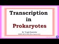 7 transcription in prokaryotes  molecular biology  biochemistry  njoy biochemistry