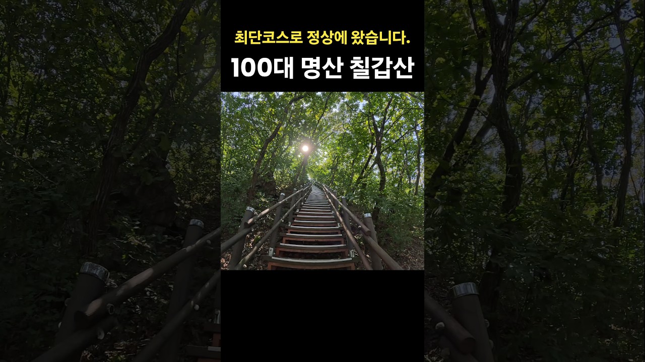 칠갑산 ⛰️ 최단 코스로 정상에 왔습니다. 🙏