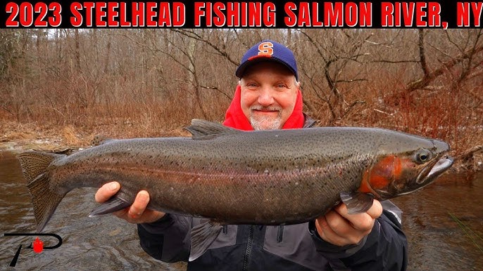 Winter Steelhead Fishing on the World Famous Salmon River 