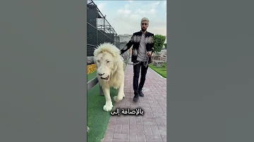 روتين أغنى رجل في العالم 