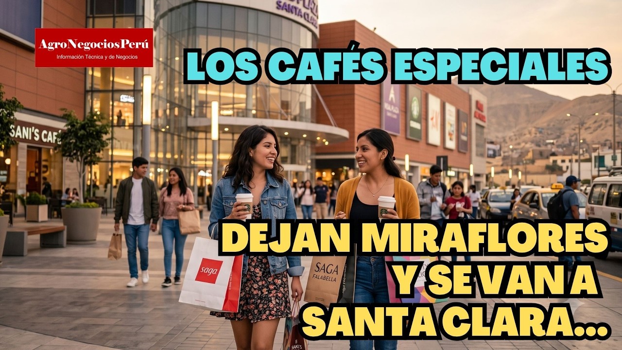 Productores cafetaleros apuntan a mercados emergentes masivos de Lima Este