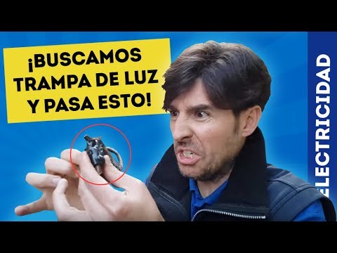 Video: Trampa De Luz