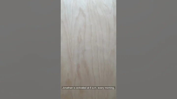 A Day in the Life of Jonathan