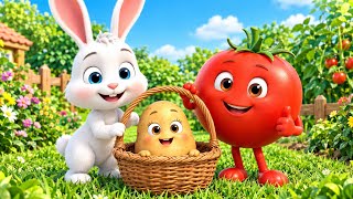 Details 🐰🍅🥔 The Bunny, Tomato & Potato’s Magical Garden Adventure! 🌈 | Kids Cartoon | USA News