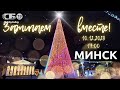 🎄 Главную елку страны зажигают в Минске! ✨ | ПРЯМОЙ ЭФИР