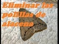 ELIMINAR LAS POLILLAS DE ALACENA. Delete the moths of cupboard