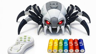 ASMR Unboxing a Red-Eyed RC Spider…