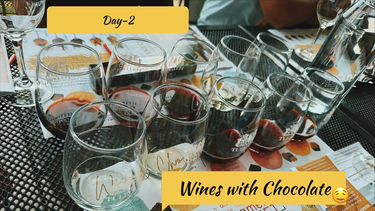 Day-2 , Hunter valley|| wine testing || Hunter valley Garden|| New year 2026 fireworks||