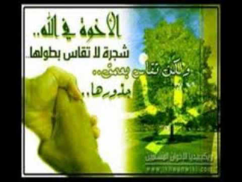 من أين لي خل خليل