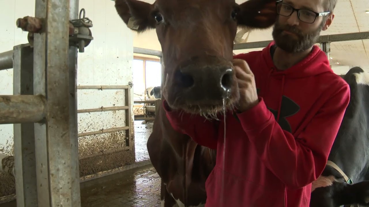 Proof Line Farm Winter Promo Video