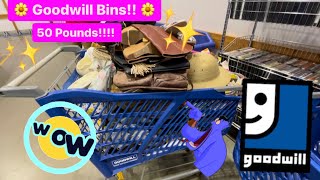 Lets GO to GoodWill BINS! A Goodwill Goldmine! My Cart was Overflowing! Thrift With Me for Resale!