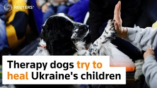 Dog therapy brings solace to displaced Ukrainian kids