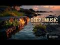 Deep Focus Music for Productive Coding ~ Relaxing Work & Study Ambient Sounds