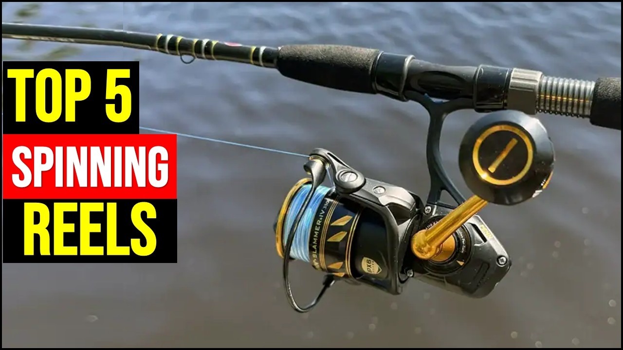 TOP 5 Best Spinning Reels 2026 🎣 | Budget to Premium Fishing Reels You MUST See!