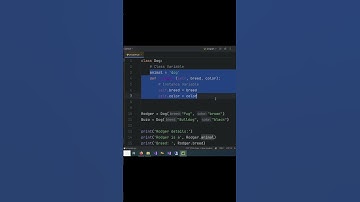 Class Variable & Instance variable in Python #coding #programminglanguage #python