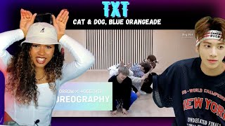 DANCE PRO Discovers TXT - Cat \u0026 Dog, Blue Orangeade (Dance Practices)