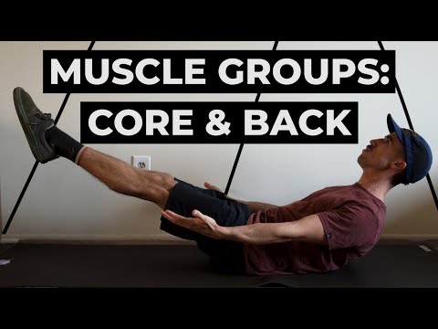 Muscle Groups | Core & Back - YouTube