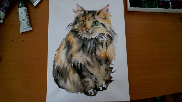 Watch the video about Maine coon kitten painting on canvas, calico kitty ,cat art