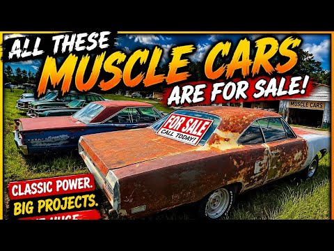 I Found a FIELD FULL of Classic Muscle Cars… AND THEY’RE ALL FOR SALE!