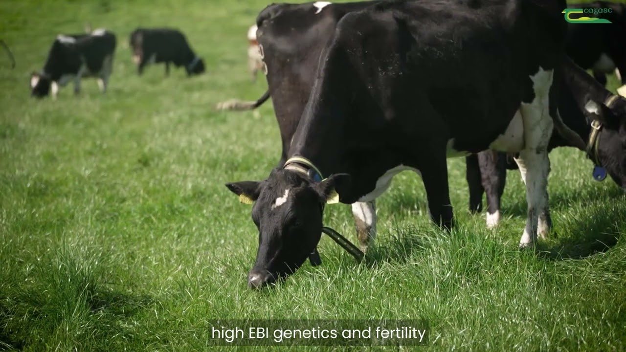 Dairy Enterprise - Teagasc Ballyhaise Agricultural College