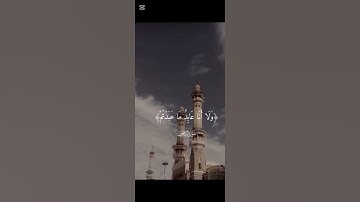 سورة الكافرون الشيخ ماهر المعيقلي #المصحف