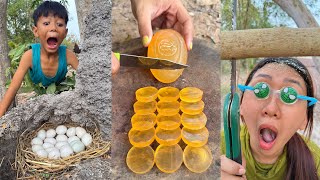 Survival Skills Smart Idea And Useful In Forest