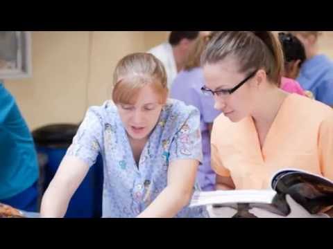 Why Choose Saba University for Medical School