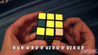 Learn COLL with AVGDI: Headlights Cases