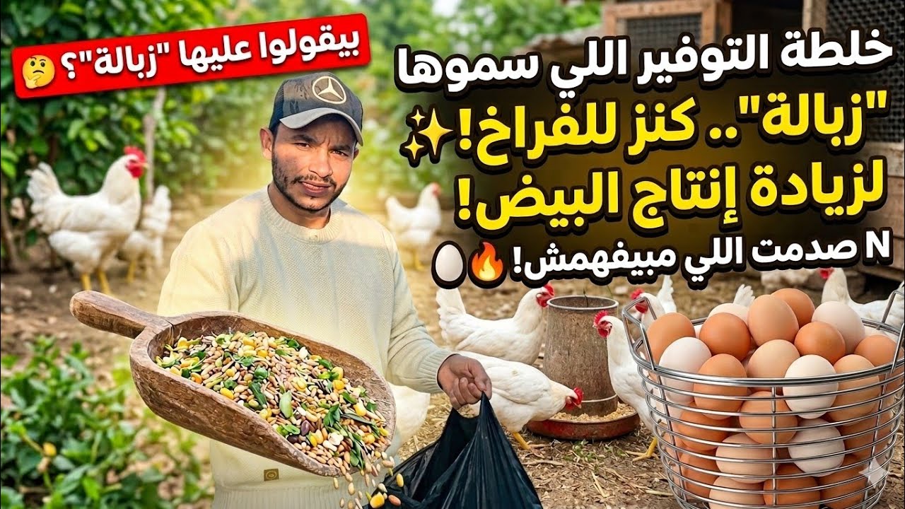 خلطة التوفير اللي سموها 